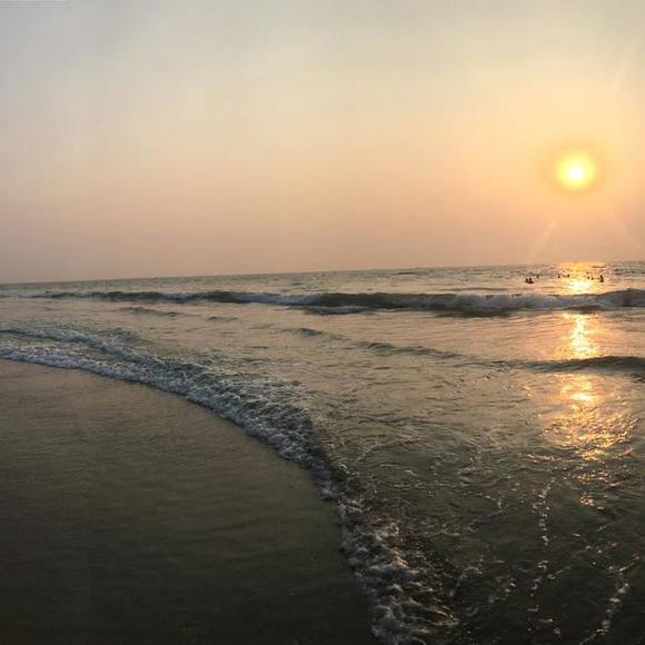 Meet your Posher, Premita - Picture 1 of 1